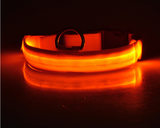 LED Pet Dog Collar