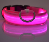 LED Pet Dog Collar