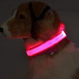 LED Pet Dog Collar