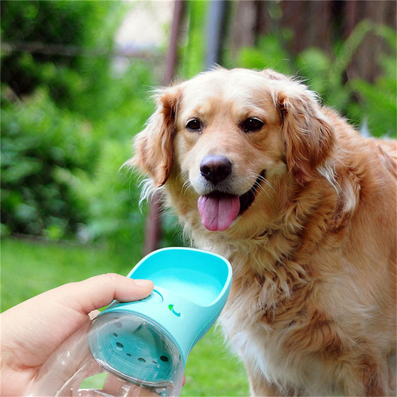 Outdoor Portable Water cup
